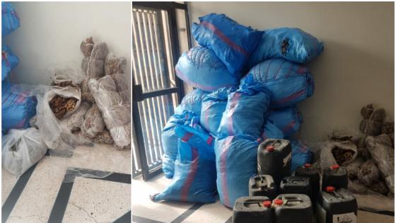 ايت ملول : اقتحام مستودع وحجز ازيد من 300كيلو من القنب الهندي والتبغ المهرب وممنوعات اخرى