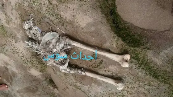 ظهور عظام بشرية بشاطىء تستنفر سلطات آشتوكة ايت باها 