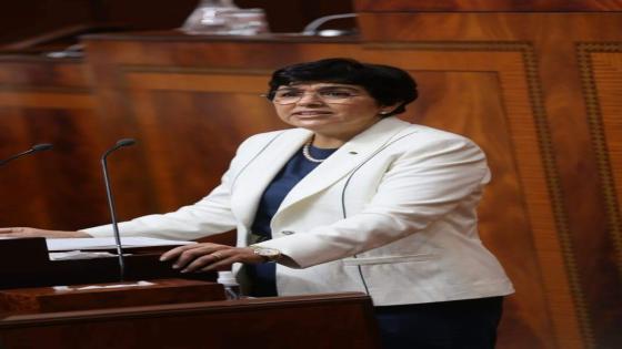 العدوي: أي برلماني لم يصرح بممتلكاته عند نهاية انتدابه سيحال على القضاء