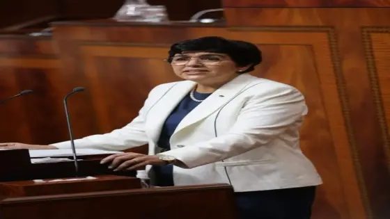 العدوي: أي برلماني لم يصرح بممتلكاته عند نهاية انتدابه سيحال على القضاء