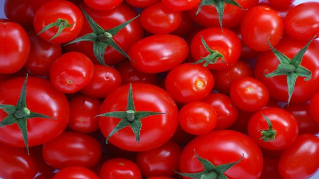 أونسا تطمئن المستهلك : حالات المرض بنبتة الطماطم والفلفل لا يشكل أي خطر على صحة الإنسان