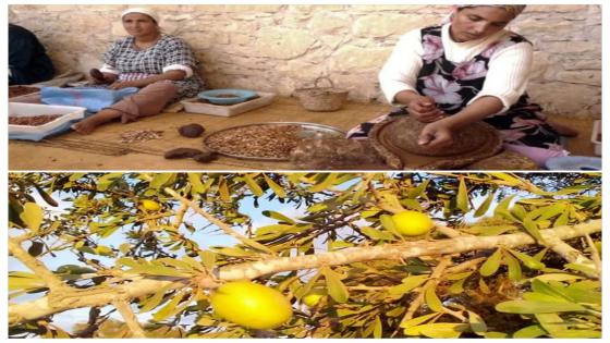 مجلة بريطانية تعدّد أسرار قد لا تعرفها عن الأركان