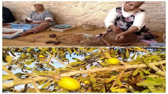 مجلة بريطانية تعدّد أسرار قد لا تعرفها عن الأركان