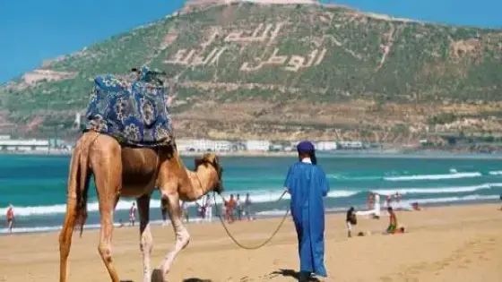 نمو السياحة المستدامة بالمغرب يتضاعف مع 10% من السياح يختارون التجارب الصديقة للبيئة