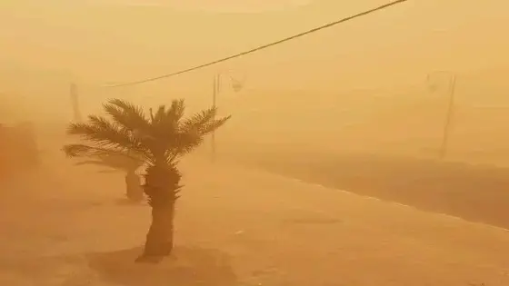 تعليق الدراسة بأكادير إداوتنان ابتداء من مساء الجمعة