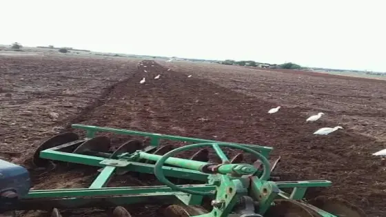 انطلاق صرف التعويضات للفلاحين المتضررين من الجفاف قبل موعدها