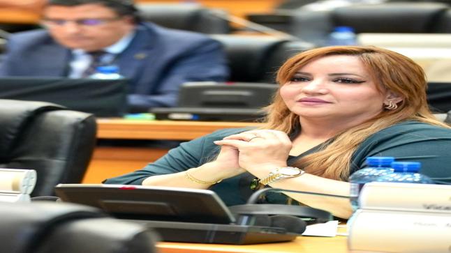 البرلمان الإفريقي يطالب بتعويضات عن الاستعمار ويشيد بالتجربة المغربية كنموذج للنهضة الإفريقية