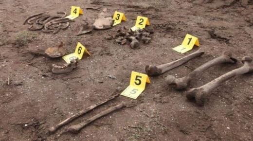 إكتشاف ” عظام بشرية ” يستنفر الدرك الملكي بأكادير