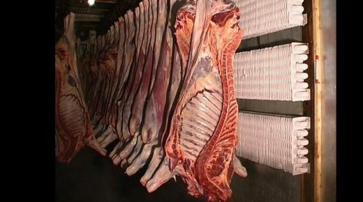 طنجة .. حجز 980 كيلوغرام من اللحوم غير الصالحة للاستهلاك والمتأتية من عمليات الذبيحة السرية