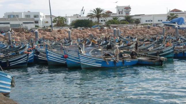 ضبط 200 كيلوغرام من السمك الغير مرخص بمدخل ميناء أكادير