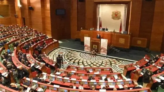 مجلس المستشارين يصادق على مشروع قانون يتعلق بتنظيم العمل التطوعي التعاقدي