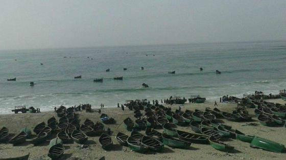 مندوبية الصيد البحري بالداخلة تحذر أرباب قوارب الصيد التقليدي