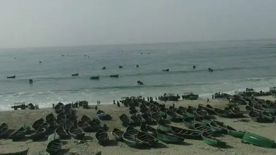 مندوبية الصيد البحري بالداخلة تحذر أرباب قوارب الصيد التقليدي
