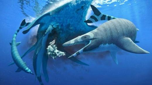 المغرب.. اكتشاف “موزازور” جديد من العصر الطباشيري، سحلية بحرية بـ “أسنان القرش”