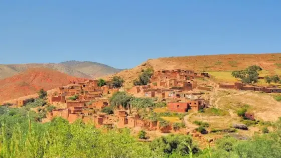 “ائتلاف الجبل” يدعم تقطيع تارودانت