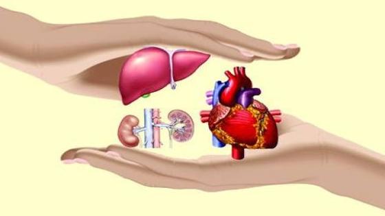 شابتين يوقعان على إشهاد التبرع بالأعضاء بإنزكان