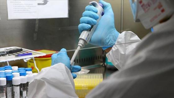 بوتين: روسيا طورت “أول” لقاح لكوفيد-19