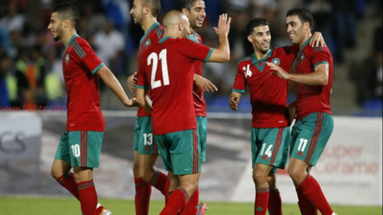 الأسود تهزم ناميبيا بهدف وحيد