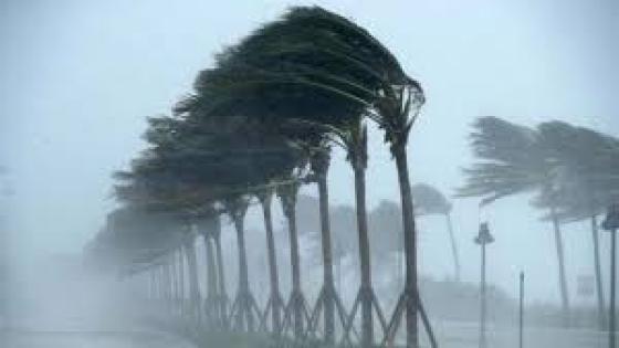 المديرية العامة للأرصاد الجوية: أمطار مهمة غدا الأربعاء