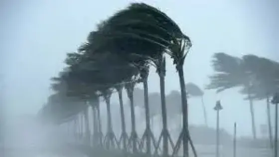 المديرية العامة للأرصاد الجوية: أمطار مهمة غدا الأربعاء