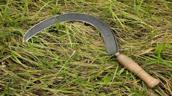 حكم قضائي يتسبب في مقتل شخص بواسطة ” المنجل ” بشيشاوة
