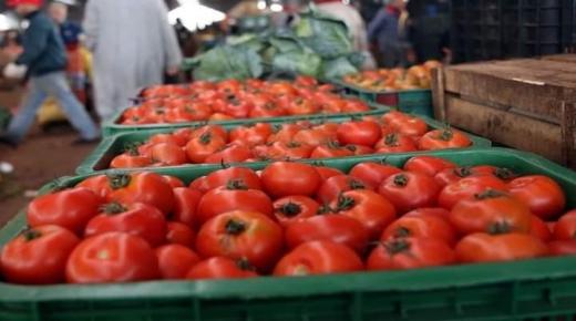 بيتاس : منتوج الطماطم متوفر وكاف جدا