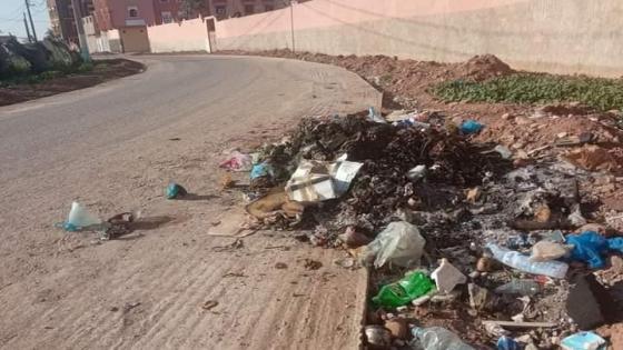 احراق حاويات الأزبال يقض مضجع مواطني التمسية
