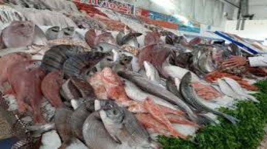 سوس- ماسة.. أسعار البيع بالتقسيط للأسماك