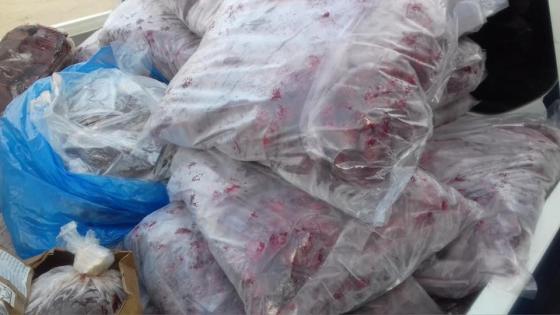 قضاة جطو يفكون لغز الأضاحي المتعفنة