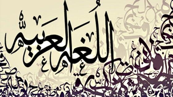 التنسيقية الوطنية للغة العربية تؤكد أن الإصلاح الحقيقي هو بناء تعليم وطني يرسخ مقومات الهوية الوطنية